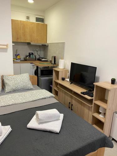 Under the Tree apartman Novi Beograd stan na dan smeštaj kod Arene privatni apartmani