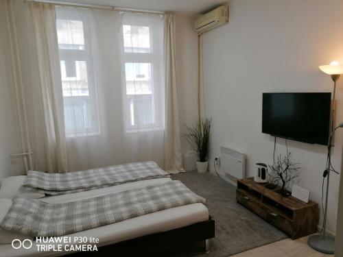 Nikolas 2 apartman Beograd Stari Grad stan na dan smestaj u centru grada ves masina klima