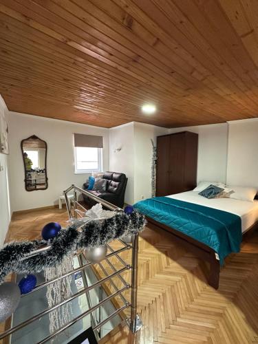 OASIS IN CENTER OF VRACAR stan na dan Beograd smestaj apartmani